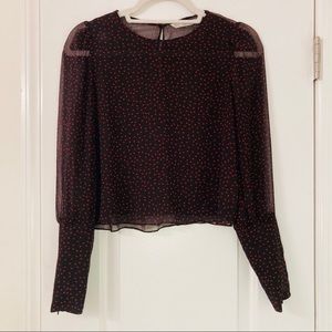 Zara Cropped Chiffon Heart Long Sleeve Top